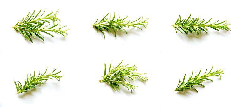 Kitchen Spices 7