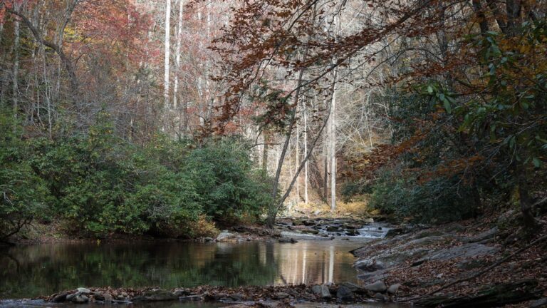 National Park