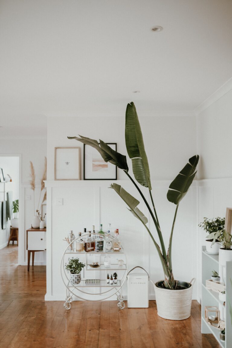 Home Bar Cart