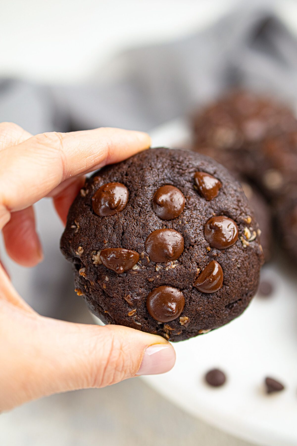 Classic Oatmeal cookies with the added touch of cocoa powder